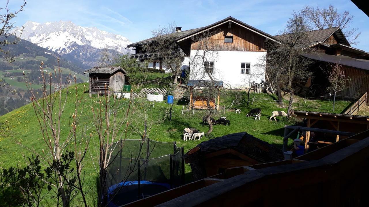 Landhaus Katharina Bischofshofen Bagian luar foto