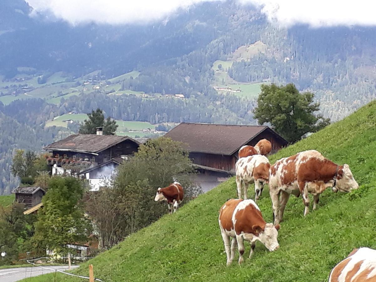 Landhaus Katharina Bischofshofen Bagian luar foto