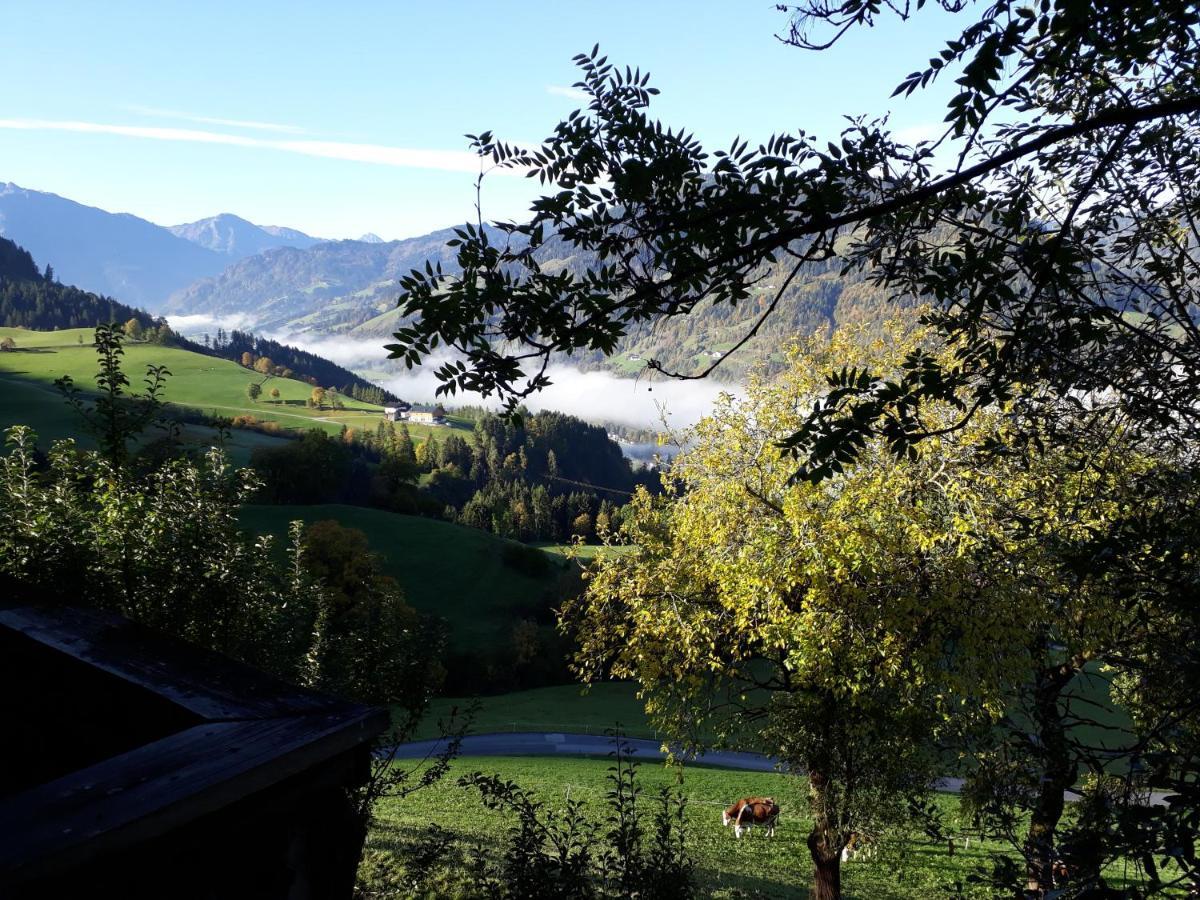 Landhaus Katharina Bischofshofen Bagian luar foto
